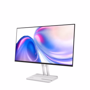 Lenovo L24-4C Monitor